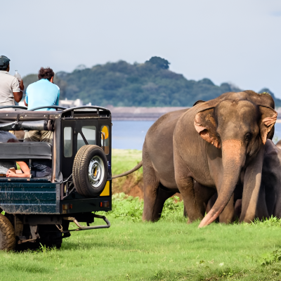 Jewels of Sri Lanka