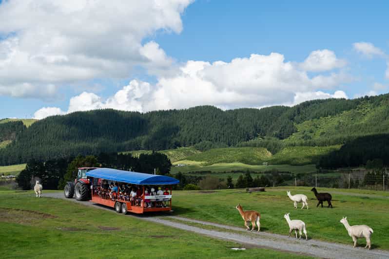 Agrodome Farm